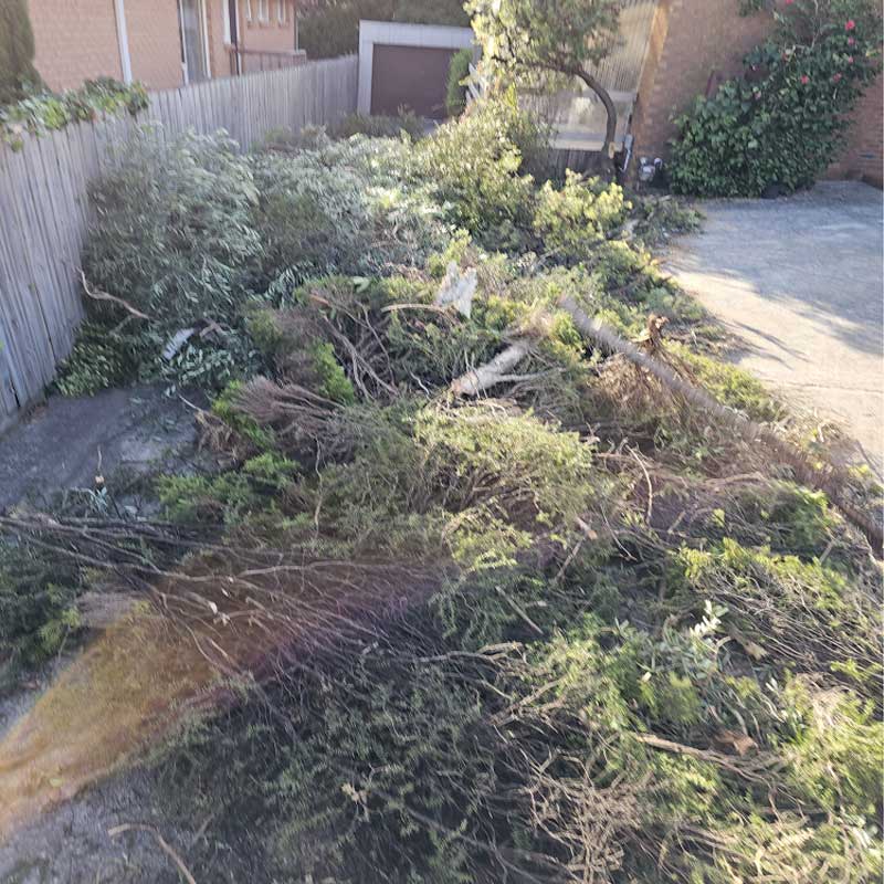 melbourne cheap rubbish removal